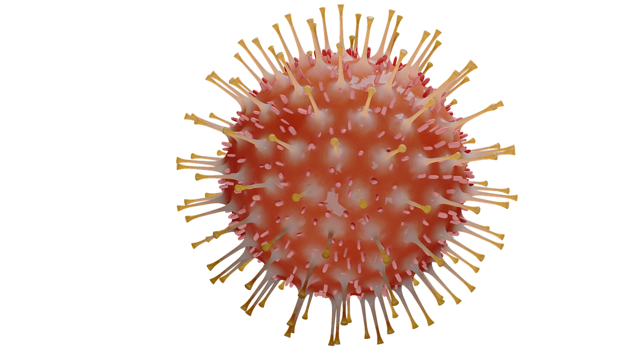 COVID virus