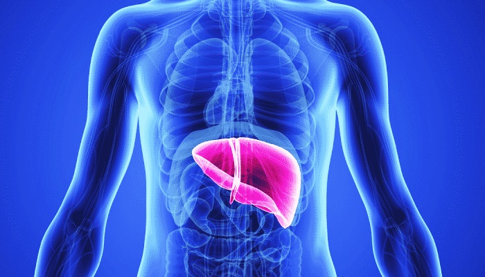 Understanding NAC (N-Acetyl Cysteine) and Selenium