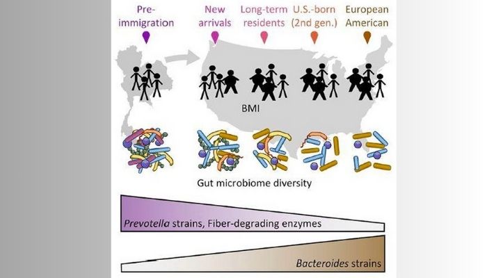 Info graphic photo about parasite and BMI