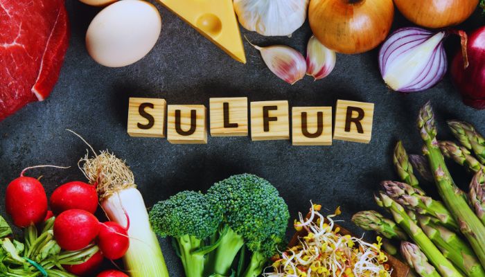 Vegetables with rich sulfur