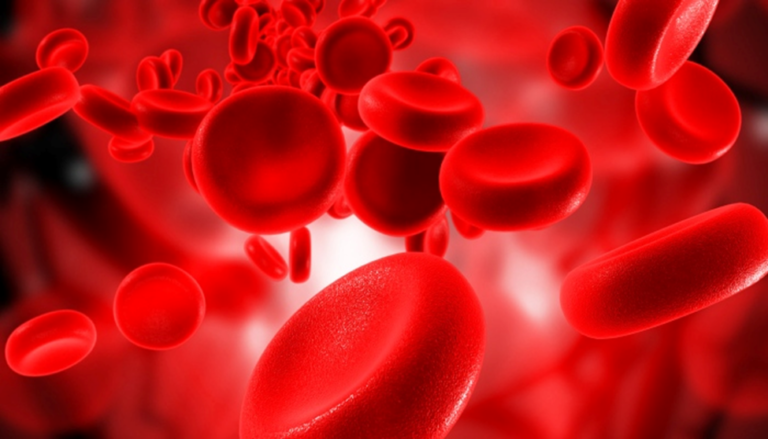 blood cells